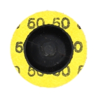 NORTON - Disque abrasif appliqué speed lok - Ø50 mm - grain 50 | PROLIANS