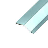 Seuil pour différence de niveau butyle Inox brillant - Largeur : 50 mm - Longueur : 2 700 mm