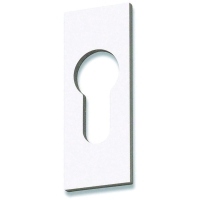 Rosace rectangulaire clé I D4015 - anodisé argent - épaisseur : 5 mm