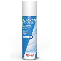 Mousse nettoyante multi-usages QUICKAEX - 650 mL - parfum thé vert