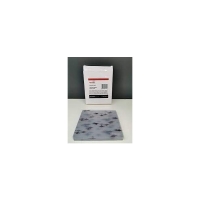 Écran de protection extérieure CHAMELEON 4V - boîte de 10