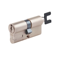Cylindre européen AJUSTABLE - varié - 60 x 30 mm