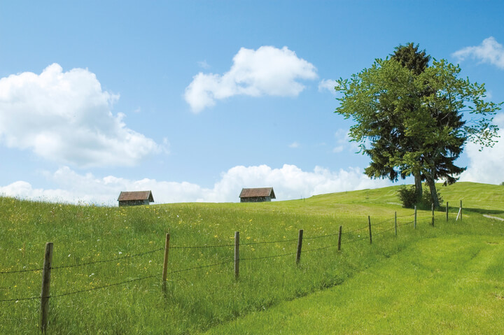 Solutions pour délimiter, clôturer et protéger les parcelles agricoles, terrains industriels ou bordures autoroute
